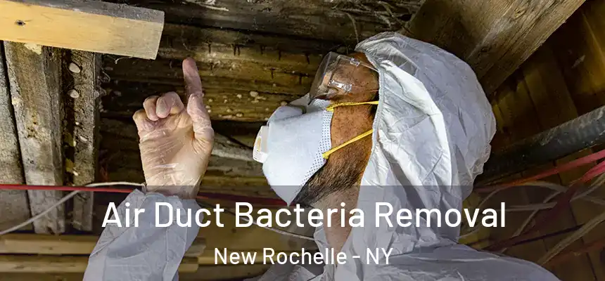  Air Duct Bacteria Removal New Rochelle - NY