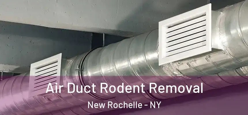 Air Duct Rodent Removal New Rochelle - NY