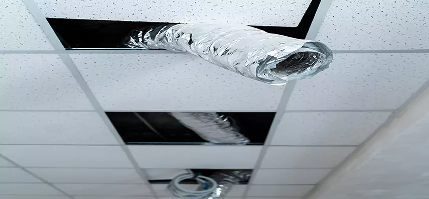 Affordable HVAC Sanitizing After Pest Removal in New Rochelle