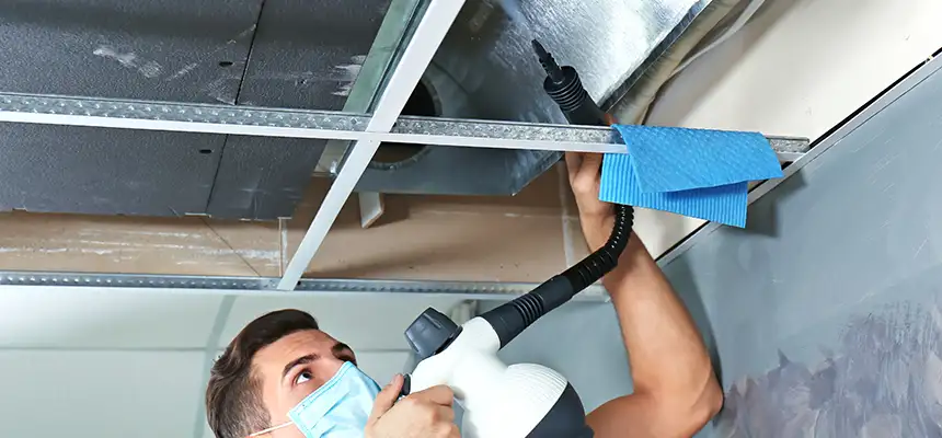 Our Air Duct Rodent Removal Services in New Rochelle, NY