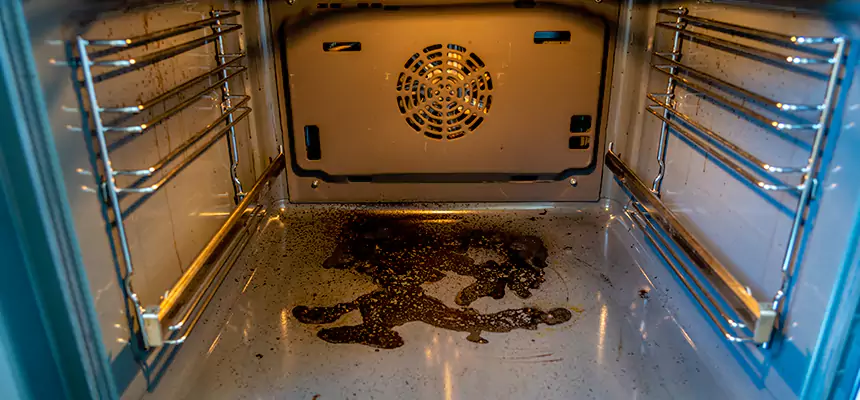 Our Dryer Vent Mold Cleaning Services in New Rochelle, NY