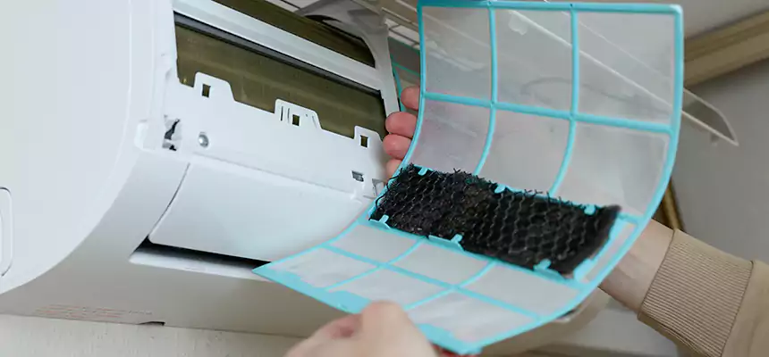 Gentle Ductwork Odor-Control Pet Dander Duct Cleaning in New Rochelle, NY