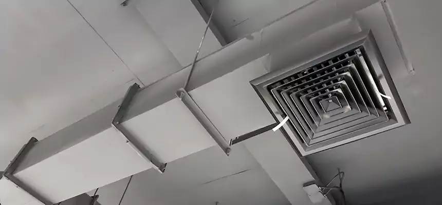 Our Rodent Droppings In Vents Services in New Rochelle, NY