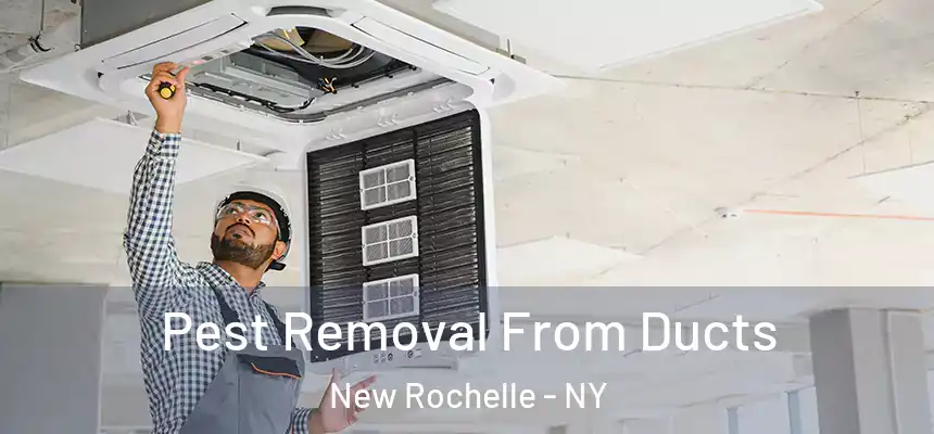  Pest Removal From Ducts New Rochelle - NY