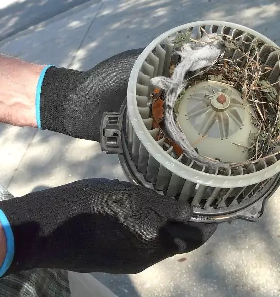 About Air Duct Rat Removal in New Rochelle, NY