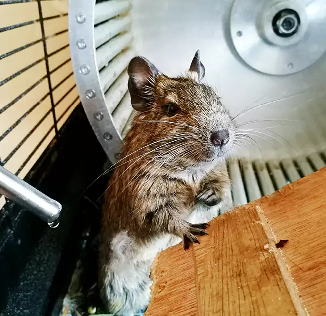 Why Homeowners & Businesses Trust Us New Rochelle, NY